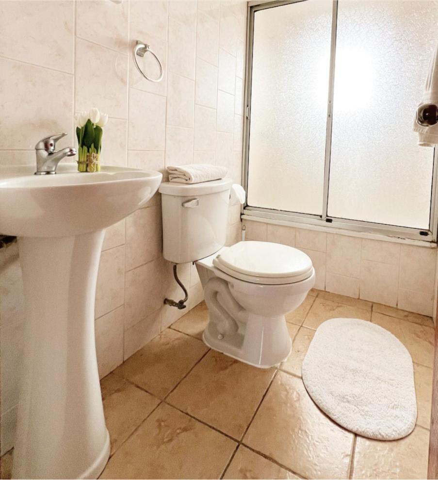 Hostal Feliza 瓦尔迪维亚 外观 照片